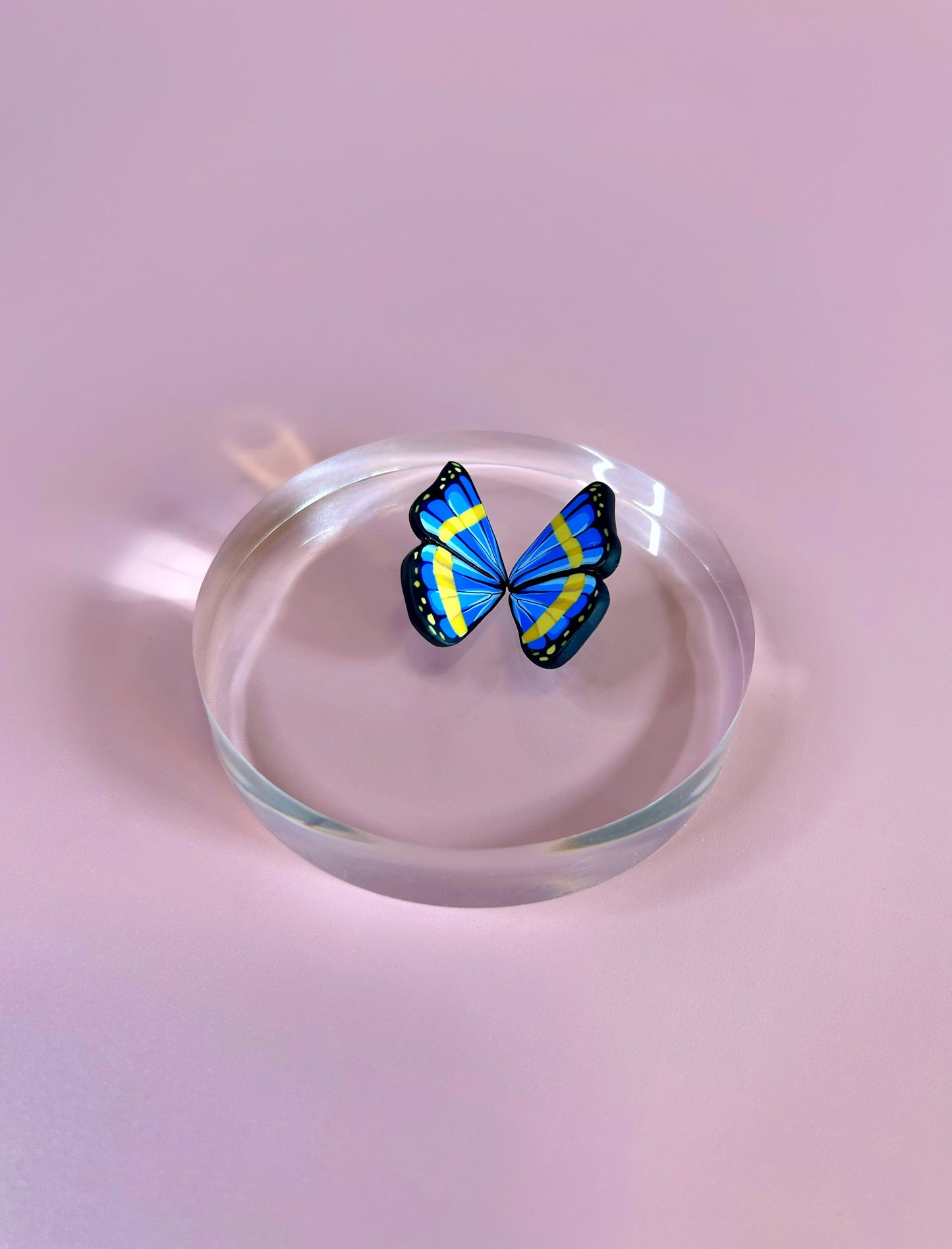 Metamorphosis- Morpho Cypris Wings (.925s)