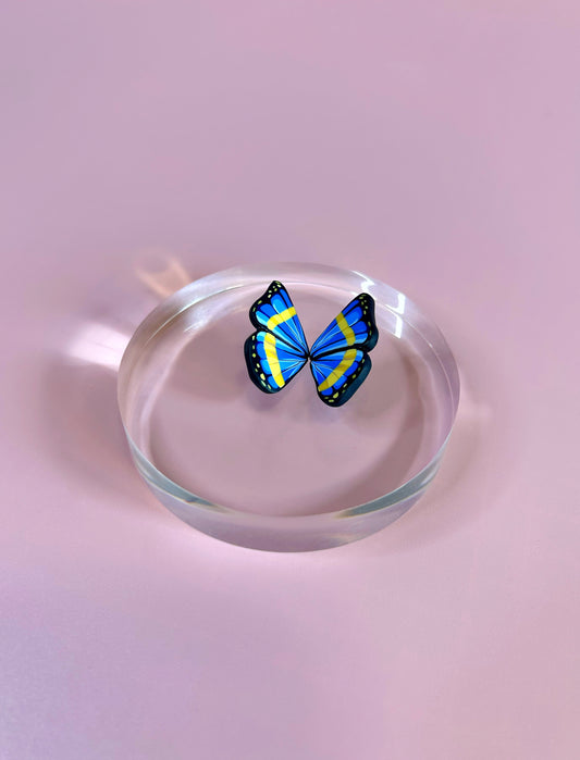 Metamorphosis- Morpho Cypris Wings (.925s)
